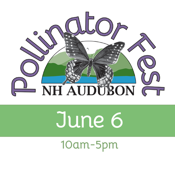 Pollinator Fest Vendor Table 2026