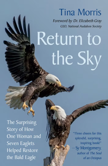 Return to the Sky by Tina Morris