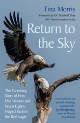 Return to the Sky by Tina Morris