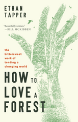 How to Love a Forest by Ethan Tapper